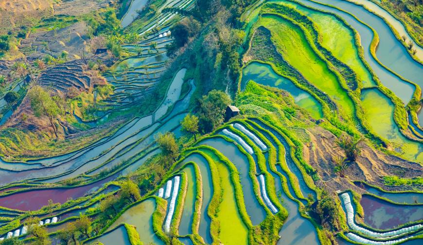 走进邱县TVC拍摄：解锁本地化场景与创意镜头的完美融合